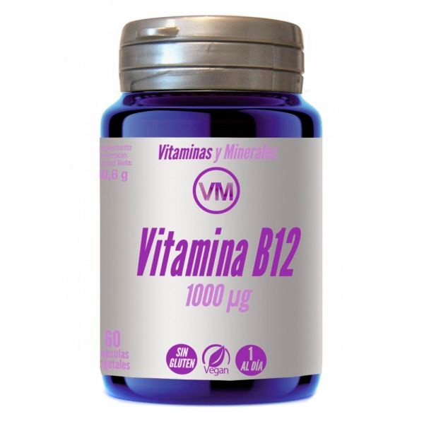 Ynsadiet vitamina B12 1000u 60 capsulas